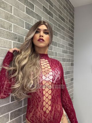 trans girl HotBlondXXL 0754219 trans girl HotBlondXXL 0754219