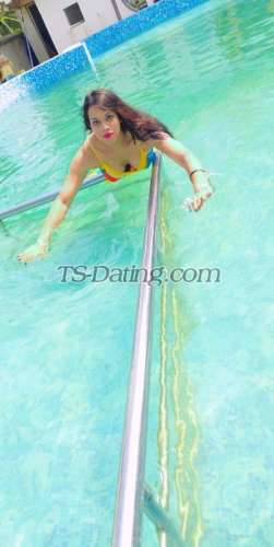 trans girl HotZeenat 0409561 trans girl HotZeenat 0409561