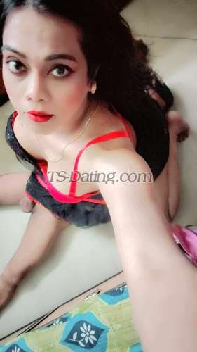trans girl HotZeenat 1468529 trans girl HotZeenat 1468529