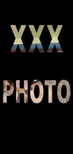 trans girl HotZeenat 2836507 trans girl HotZeenat 2836507