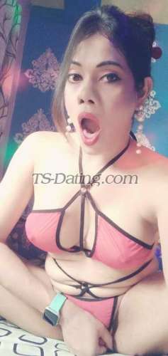 trans girl HotZeenat 5266443 trans girl HotZeenat 5266443