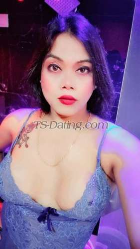 trans girl HotZeenat 8066173 trans girl HotZeenat 8066173