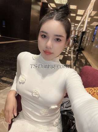 trans girl Hotestvietnam 3388147 trans girl Hotestvietnam 3388147