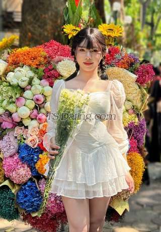 trans girl Hotestvietnam 9404778 trans girl Hotestvietnam 9404778