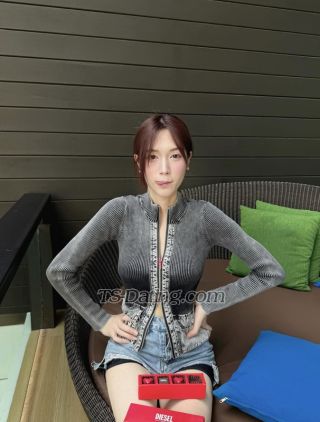 trans girl Hshshsb22 3423264 trans girl Hshshsb22 3423264