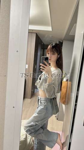 trans girl Hshshsb22 6659964 trans girl Hshshsb22 6659964