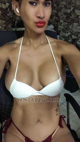 trans girl HungSheCock 0937140 trans girl HungSheCock 0937140