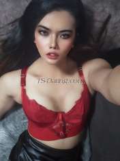 Hyazhen Manila Transex Im hyazhen,im a transwoman from manila,do you want to experience something new?.to have live sex machine that youve never experince in your whole life..dont hesitate to contact me.

Im a power top,sexully active 
