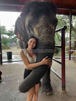 trans girl heyCelina 0207927