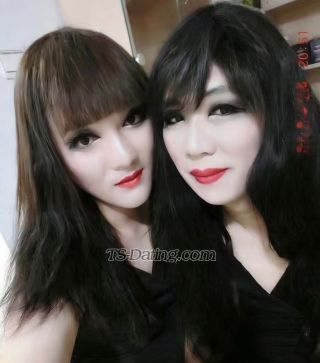 trans girl hotshebe 3323680 trans girl hotshebe 3323680