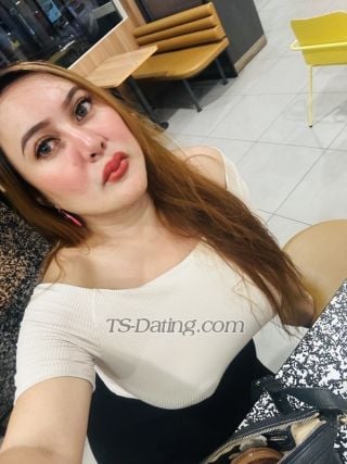 trans girl hottespamela 8732924 trans girl hottespamela 8732924