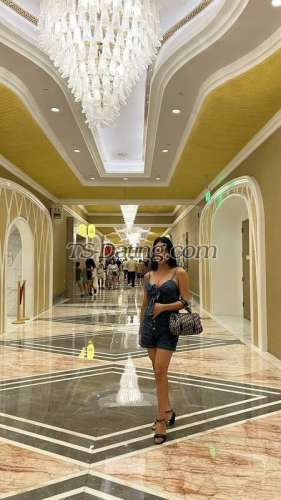 trans girl hugeCumTs 6620478 trans girl hugeCumTs 6620478