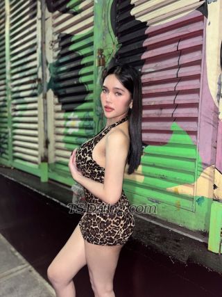 trans girl humpreylopez 0567748 trans girl humpreylopez 0567748