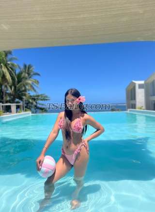 trans girl IamPrescilla 5205435