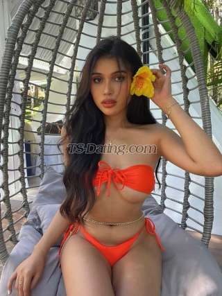 trans girl ImqueenShan 2935841 trans girl ImqueenShan 2935841