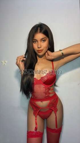 trans girl ImqueenShan 9291852 trans girl ImqueenShan 9291852