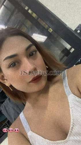 trans girl Imyoursell 3131708 trans girl Imyoursell 3131708