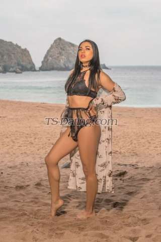 trans girl IreneFox 9581005