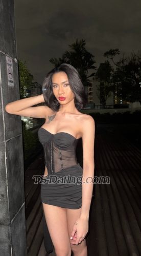 trans girl Irlinbangkok 8193498 trans girl Irlinbangkok 8193498