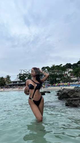 trans girl IsabellaSweet 3051721 trans girl IsabellaSweet 3051721