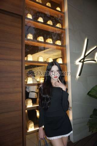 trans girl Ivybabe 8550838