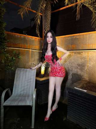 trans girl indyraa 8187669 trans girl indyraa 8187669