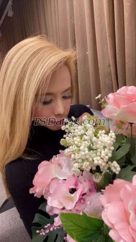 trans girl irishmememe 0973220