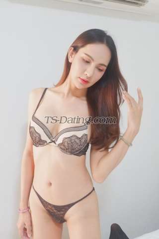 trans girl JAYDA24 9036551 trans girl JAYDA24 9036551