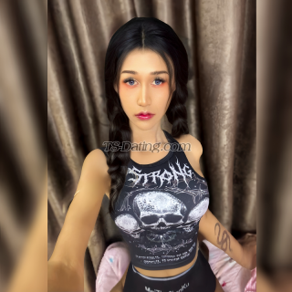 trans girl Jade3243 5276171