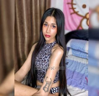 trans girl Jade3243 5829313 trans girl Jade3243 5829313