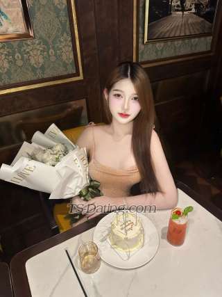 trans girl Jaojoo 8423422 trans girl Jaojoo 8423422