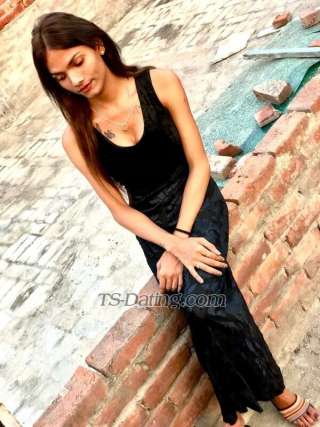 trans girl Jasmeen 9149886 trans girl Jasmeen 9149886