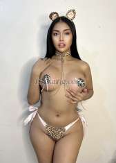 Jasmine10 Manila Transex Hello im Jassy Top and Bottom Mexican/Filipina— a sophisticated and sensual TS companion who values real connection and meaningful moments. I’m more than just a beautiful presence; I bring warmth, conversation, and a genuine desire to make you feel special and appreciated.

I love meeting people with different personalities and stories — it adds depth and excitement to every encounter. For me, it’s not just about physical intimacy; it’s about creating a romantic and unforgettable experience, where you feel like you’re with someone who truly cares.

I offer comfort, companionship, and memories that feel natural — like being with a real girlfriend. Your happiness, satisfaction, and most of all, your safety, will always be my top priorities.

Let me be your escape, your peace, and your pleasure. ✨ 

Im also offering camshow or private content just message me on WhatsApp or Telegram

‼️WHAT YOU SEE WHAT YOU GET‼️

I am 23 years old 
Morena skin 
Cup size 36D 
Curvy body 
Sweet girl
Fully functional 

Do's:
•Sucking/69
•Fucking/FlipFucking
•Receive Rimming
•Cum On Face
•Cum On Body
•GFE 
•French Kiss
•Soft Romantic
•Safe Sex
•Sissy Feminization 
•Blowjob
•BDSM/DOMINATRIX
•Golden Shower
•Anal Sex
•Deep Throat
•Camshow 

Don'ts:
•Give Rimming
•Cum Inside
•Cum in mouth

NOTE: 
•No direct calls just send me a message first.
•Videocall before meeting is mandatory.
•Safe sex is a must.