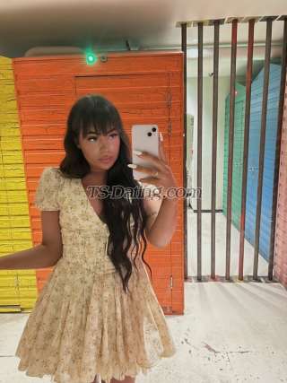 trans girl Jasminelondon 6810264 trans girl Jasminelondon 6810264