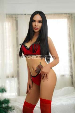 trans girl Jeleboth69 5626834 trans girl Jeleboth69 5626834