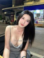 Jenny TS Penang Transex Im Jenny small young & pretty ts, i from Thailand 😘 im
good sucking stand up, my body very good but big boobs 👅
i can Top & Bottom . Dm me if u interested

Contact
me ✨
Whatsapp : +66822640045

(🍌💦 Hope
to meet you soon💦🍌 )