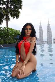 Jessica jessi Phuket Transex VVIP LADY BOY. AMIRAH 23 ANS HOT LADY BOY TOP MODEL THAÏLANDE 💃🏻 GROS CUL AVEC BITE DURE CORPS SEXY ET BEAU VISAGE ❤️‍🔥HAUT ET BAS DISPONIBLES ❤️‍🔥BEAU MÊME PHOTO 100% Appelez-moi Amirah VVIP Je suis top model 🔥Je suis Thaïlande Je suis numéro un haut et bas comme vous le souhaitez🍆 💋 J'ai un visage incroyablement beau🧚🏻‍♀️ Vous tomberez amoureux de mes yeux👁️💋 Je peux assumer n'importe quel rôle si vous le souhaitez, dites-le-moi 🙏🏻 J'ai un corps parfait, une bite moyenne de 18 cm, une personnalité agréable, bien élevée, amicale, gentille, souriante et cultivée. Propre, hygiénique et fonctionnelle. Je peux être une active incroyable et une passive super douce. J'ai un corps sexy, un cul sexy et un beau visage, une peau douce et lisse, je suis capable de tout faire et j'ai aussi beaucoup de sperme. ❌ Pas de retour en arrière ❌ Pas de couple rencontré ❌ Pas de drogue 💫profitons ensemble de notre temps 😊choisissez-moi, vous ne serez jamais déçu 😋 😈Alors ne perdez pas votre temps et visitez-moi IG aamirah02