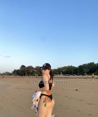 trans girl Jessicalim211 5756900