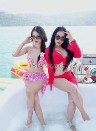 trans girl Jessyka4242 3333998 trans girl Jessyka4242 3333998