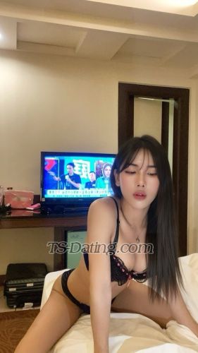trans girl Jessyladyboy 1805065
