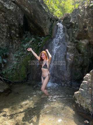 trans girl JillianCuttie 3106193 trans girl JillianCuttie 3106193