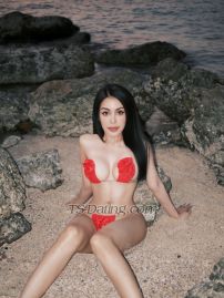 Jiratchaya12 Osaka Transex Hi >> My name is Jessie from Thailand  (( Sexyand Hot
))Im on PrEP and I have a health check-up every three
months. ❤️😁🙏I am super hot girl and
love bowl job very much my still Bj is super hot
…delicious try me😎 “I can’t wait to take
care of you and have a great time together. I’ll make you
the happiest you’ve ever been. See you soon, my
love.”❤️❤️❤️Line :
@281udsnwWechat : jeaaie-112Telegram :
@jiratchaya_k❤️❤️❤️❤️🍆👅🍆👅�
��👅🍆👅