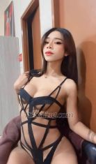 June lee Tokyo Transex Hey my name june nice to meet you I’m Thai max Singapore
🇸🇬🇹🇭
I’m from Phuket I’m 24 years I’m
tall 176 50 km Hope we have a good time together.
☺️

✅ WeChat juni6969
✅ line
junelee696969
✅ +66 Zero six six zero zero three two
seven two four
❗️NO dirty guys  
Incalls per
hour 6000฿/~200$  ✅
Outcalls per hour 10000&/~300$
✅
  Pls don’t discount my price if you  interested
me , don’t text me if you don’t have money.
❗️❗️❗️
希望能看到你 😉☺️ 