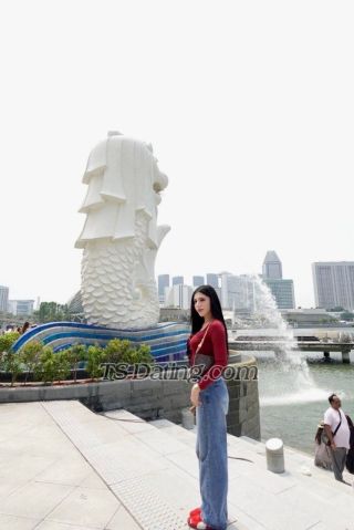 trans girl jasmin6nch 3464517 trans girl jasmin6nch 3464517