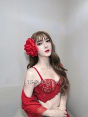 jenniee004 Taoyuan Transex WhatsApp : +66855483254
Hi my name is jennie 22years I'm first time  old 171cm 51kg I'm friendly, cute and playful. I hope you like my profile.
WhatsApp : +66855483254
Telegram: +66855483254