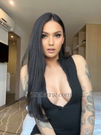 johnnicole Kuala Lumpur Transex Hi my name is Nicole..  Im 25 yrs old.. Half spanish, half filipina beautiful gorgeous sweet young fresh ladyboy from the Philippines..

Can give you full service.. no rushing.. I can be top and bottom but preffers bottom more.. can give you good talk and relaxing massage before having sex..

If you’re looking for a relaxing session, you found your perfect match! I mastered the art of giving pleasure.



WhatsApp: +639064558345
Line: tsbabygirlnicole
Wechat: Santorinijodi06 (new)

Cum and get me boys!!!

100% Real

Open for camshows❤️
