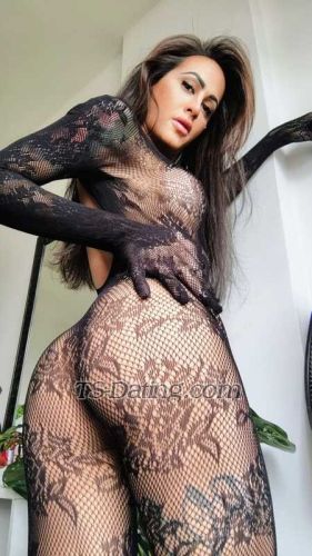 trans girl julinha 1060082 trans girl julinha 1060082