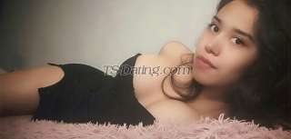 trans girl KAROLINA22 8184361 trans girl KAROLINA22 8184361