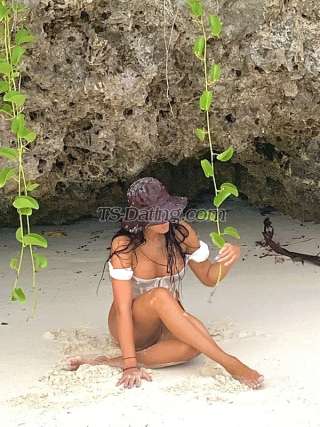 trans girl Kandyxoxo 5570262 trans girl Kandyxoxo 5570262