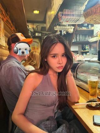 trans girl KarinaFox 2327821 trans girl KarinaFox 2327821